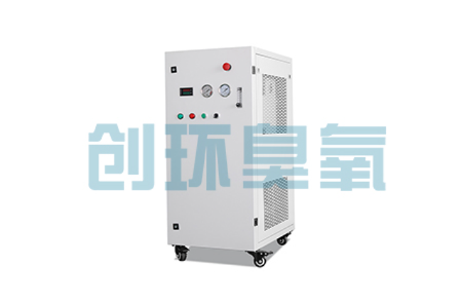 静安比传统换水更高效？臭氧发生器在石斑鱼养殖中的水质净化原理解析