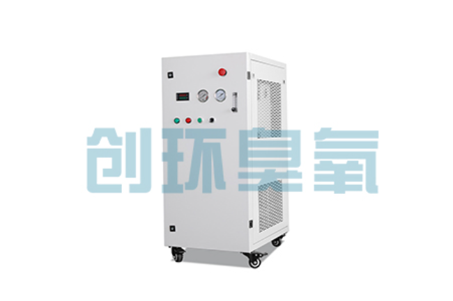 静安比传统换水更高效？臭氧发生器在石斑鱼养殖中的水质净化原理解析